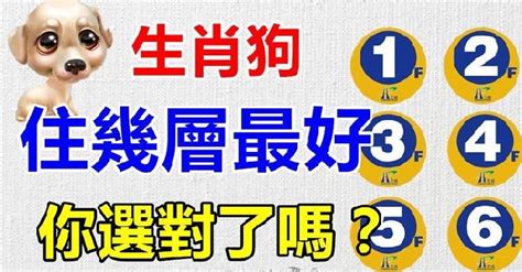 生肖 樓層|【生肖 樓層】12生肖選對樓層旺運指南！你的屬相住幾樓最好。